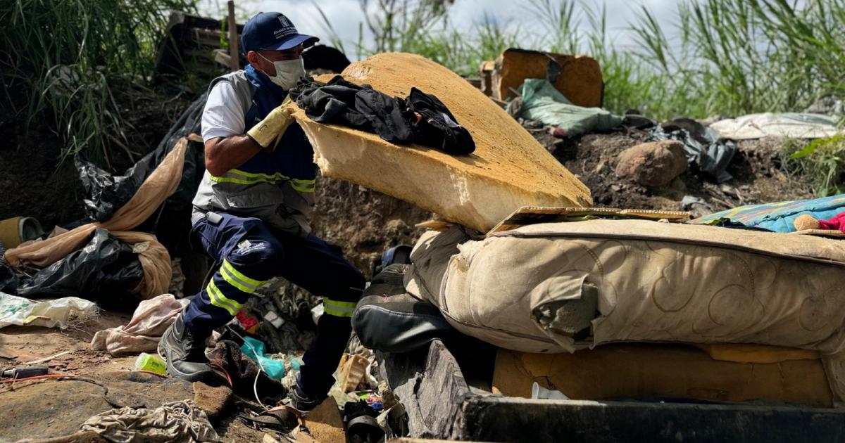 Noticias Medellín: 700 toneladas de basura recogida en las calles