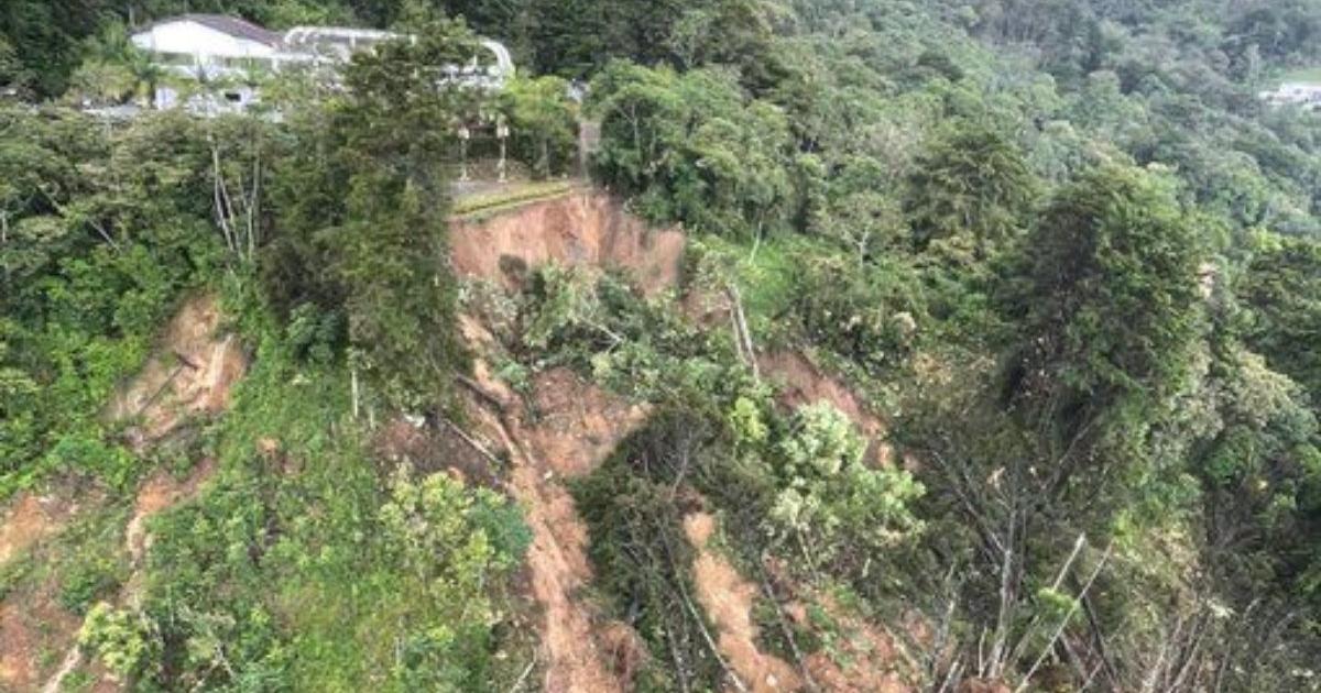 Noticias Medellín: Buscan si hay víctimas en deslizamiento en El Poblado Noticias Medellín: Buscan si hay víctimas en deslizamiento en El Poblado