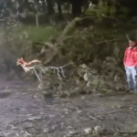[Video] Conductores se salvaron de milagro: emergencia los dejó asustados