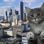 Advierten a quienes tienen gatos: ley los pondría a pagar hasta 0.000