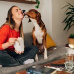 Los perros, un aliado inesperado en la lucha contra el linfoma y el cáncer