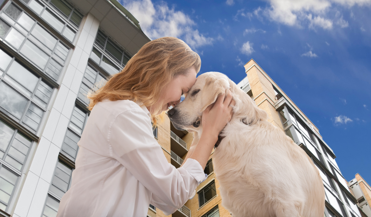 Administradores le clavan cobro por mascota: ley lo permite