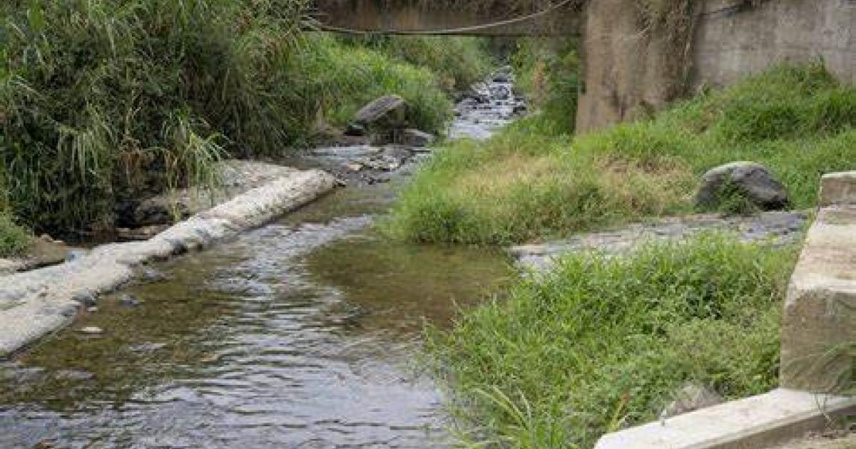 Noticias Medellín: Niño de seis años murió ahogado en la quebrada La Iguaná