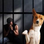 Histórica condena: ley mordió fuerte a maltratadores de animales Histórica condena: ley mordió fuerte a maltratadores de animales