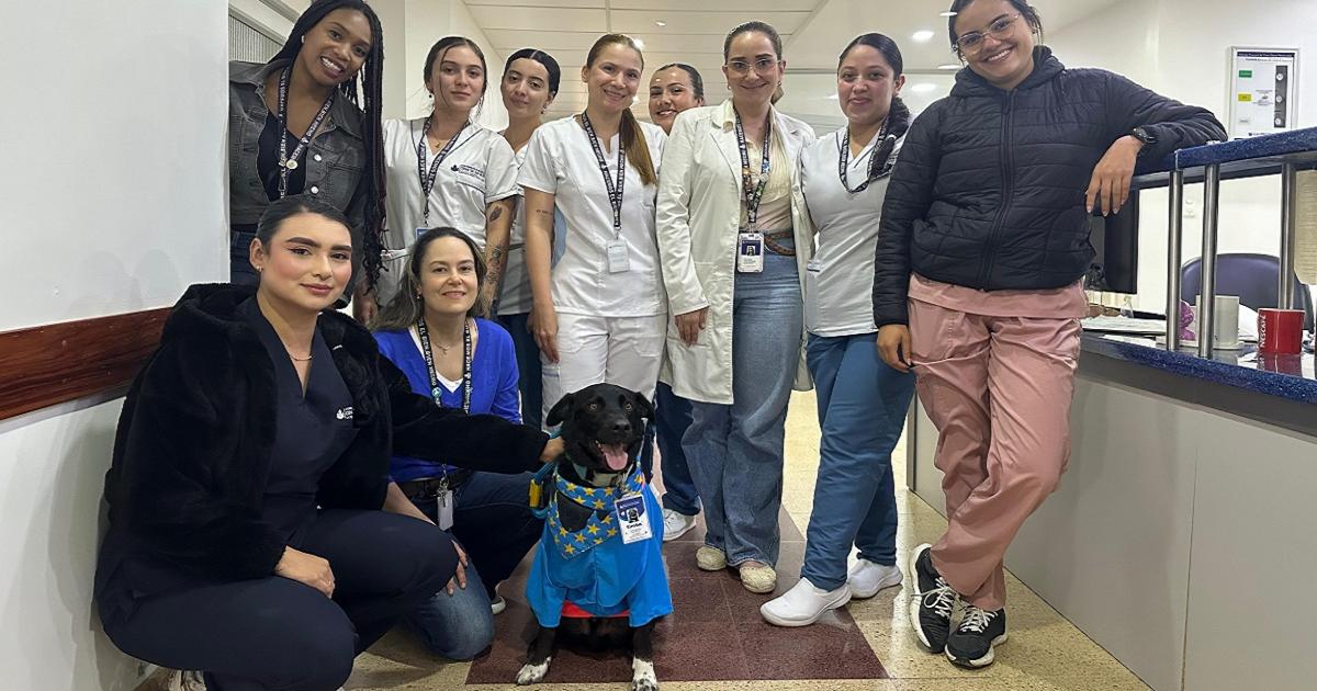 Noticias Antioquia: Llegó perro de ayuda emocional a clínica en la Ceja