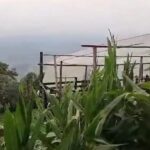 Noticias Medellín: Vapeadores de marihuana, Imponente cultivo hidropónico Noticias Medellín: Vapeadores de marihuana, Imponente cultivo hidropónico