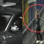 Noticias Medellín: Hombre lanzó enorme roca desde un puente en Medellín Noticias Medellín: Hombre lanzó enorme roca desde un puente en Medellín