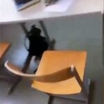Al menos diez muertos en un tiroteo en un instituto de Austria, incluyendo al autor que se ha suicidado Al menos diez muertos en un tiroteo en un instituto de Austria, incluyendo al autor que se ha suicidado