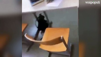 Al menos diez muertos en un tiroteo en un instituto de Austria, incluyendo al autor que se ha suicidado Al menos diez muertos en un tiroteo en un instituto de Austria, incluyendo al autor que se ha suicidado