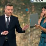 El «momento bizarro» vivido en la Televisión de Galicia que paralizó el informativo en pleno directo