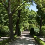 Identifican un mecanismo que permite a las plantas responder al estrés ambiental continuo