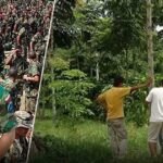 Las tierras arrasadas por Mancuso y el Frente 36 de las Farc son ahora fincas madereras Las tierras arrasadas por Mancuso y el Frente 36 de las Farc son ahora fincas madereras