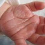 Noticias Medellín: Rescatan a bebé secuestrado en Antioquia