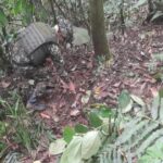 Noticias Antioquia: Ejército destruyó artefactos explosivos en Valdivia