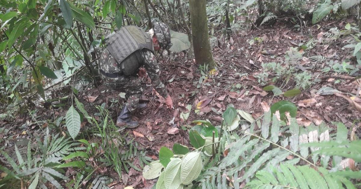 Noticias Antioquia: Ejército destruyó artefactos explosivos en Valdivia
