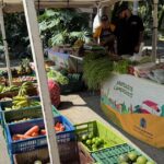 Noticias Medellín: Mercados Campesinos tendrán dos nuevos puntos