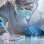 Investigadores españoles diseñan una nueva estrategia para disminuir los niveles de colesterol en sangre Investigadores españoles diseñan una nueva estrategia para disminuir los niveles de colesterol en sangre