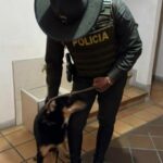 Noticias Medellín: Rescatan a la perrita Zoé en estado de abandono