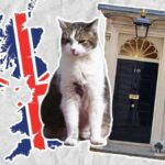 El plan secreto de Downing Street para cuando Larry, Ratonero Jefe, se quede sin sus 9 vidas
