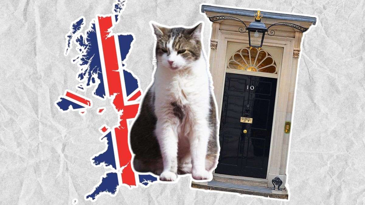 El plan secreto de Downing Street para cuando Larry, Ratonero Jefe, se quede sin sus 9 vidas