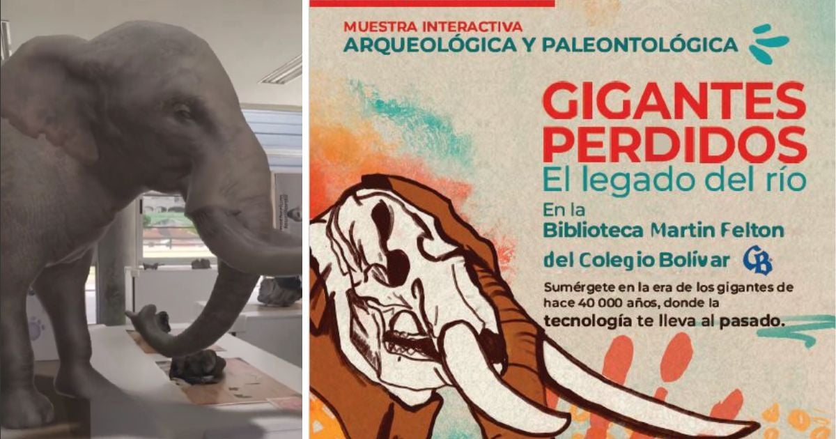 La exposición ‘Gigantes perdidos, el legado del río’, una mirada al pasado del Valle del Cauca