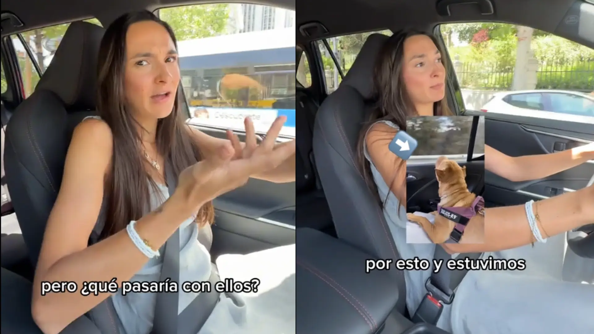 Una joven explica qué hacer en caso de sufrir un accidente de tráfico con tu mascota: «Puede salvar su vida»