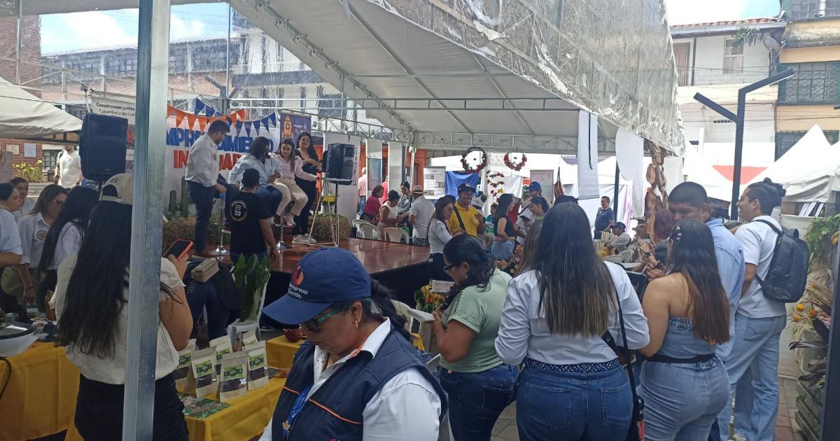 Noticias Antioquia: Cerca de 60 mujeres campesinas de Maceo son empresarias