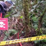 Noticias Antioquia: Suspenden desminado humanitario por amenazas