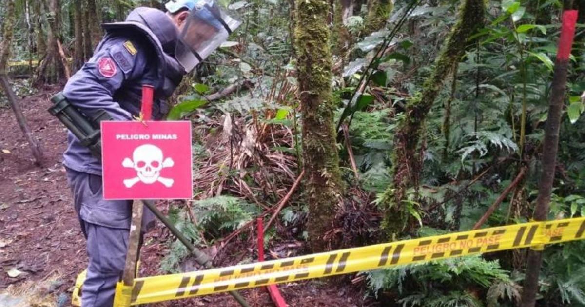 Noticias Antioquia: Suspenden desminado humanitario por amenazas Noticias Antioquia: Suspenden desminado humanitario por amenazas