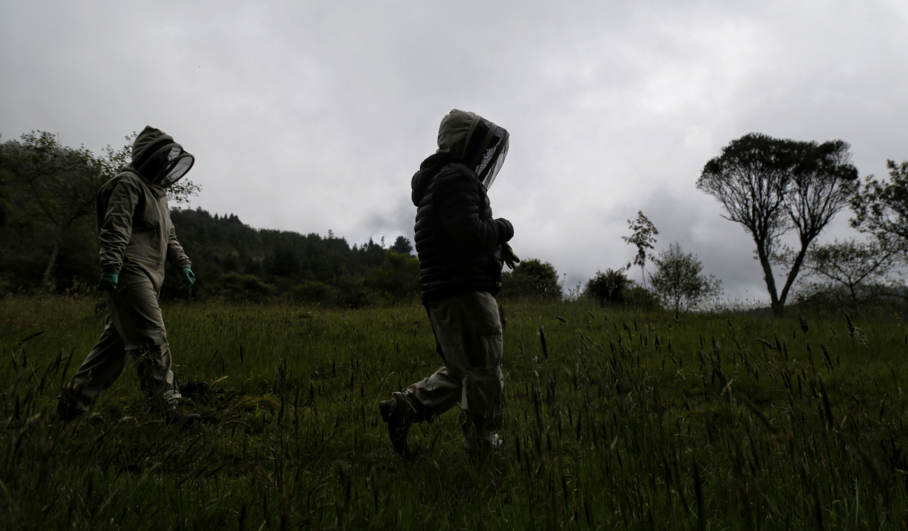 Subir a los cerros podría salirle caro:lo que debe saber para no embarrarla
