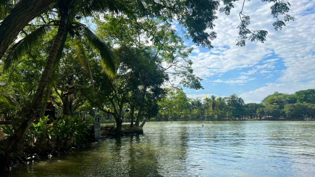 Descartan supuesta fuga de jaguares de Piscilago: “Es completamente falso”