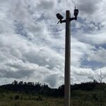 Noticias Antioquia: Comunidad transformó y limpió punto crítico de basuras
