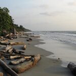 Alerta de tsunami en el Pacífico colombiano tras fuerte sismo en Rusia