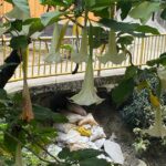 Noticias Medellín: Andén en El Picacho amenaza viviendas