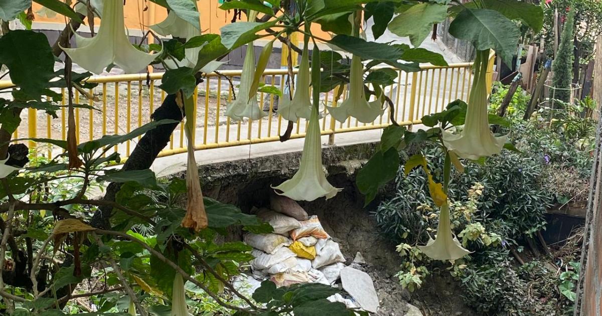 Noticias Medellín: Andén en El Picacho amenaza viviendas