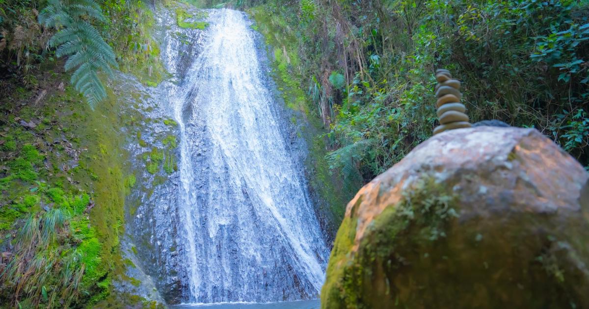 Noticias Antioquia: Inversión en economía sostenible