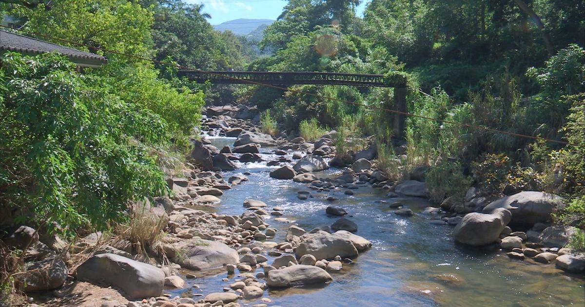 Noticias Antioquia: Hombre muere ahogado tras ser arrastrado por el río