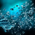Un estudio revela que la contaminación atmosférica acelera el deterioro cognitivo Un estudio revela que la contaminación atmosférica acelera el deterioro cognitivo