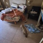 Las entidades sociales exigen investigar la muerte de un hombre con parálisis cerebral en un centro ilegal de Elche Las entidades sociales exigen investigar la muerte de un hombre con parálisis cerebral en un centro ilegal de Elche