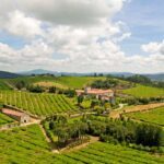 Sale al mercado Albarei Tempero 2017, un albariño del famoso y mediático Pazo Baión