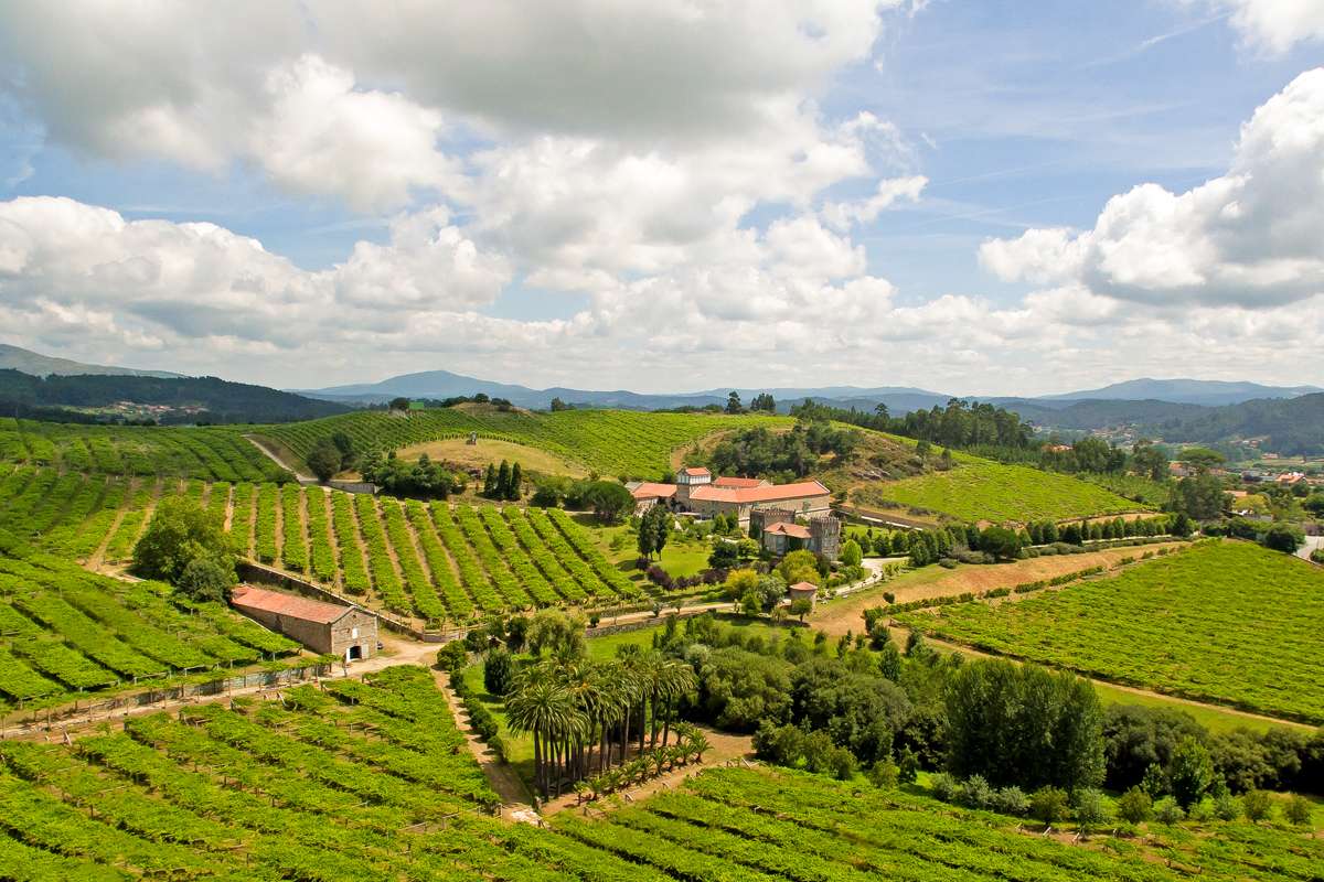 Sale al mercado Albarei Tempero 2017, un albariño del famoso y mediático Pazo Baión