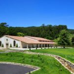 Lindeiros 2022, uno de los mejores representantes de las nuevas tendencias en Rías Baixas