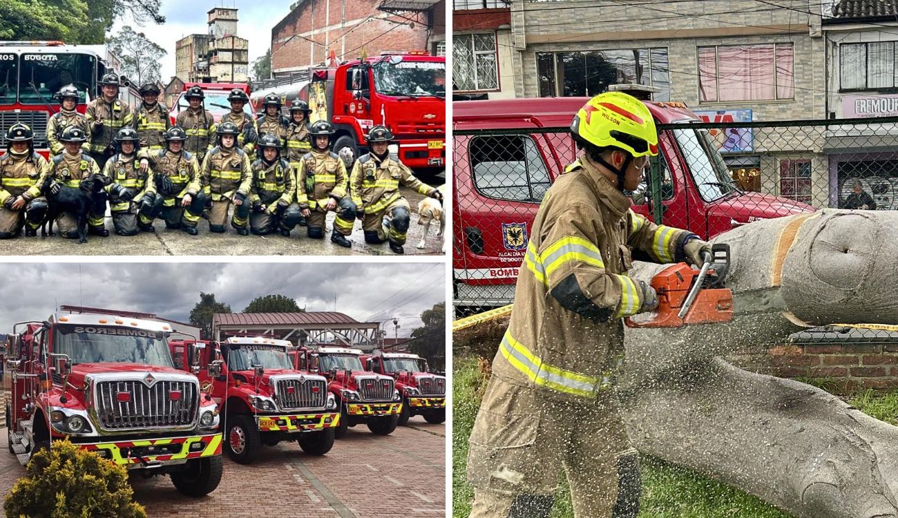 Bomberos lanzan diplomado gratis: apúrese, los cupos son rapados Bomberos lanzan diplomado gratis: apúrese, los cupos son rapados