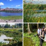 Humedales renacen en Cundinamarca: CAR y JAC rescatan el agua Humedales renacen en Cundinamarca: CAR y JAC rescatan el agua