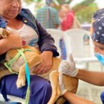Noticias Antioquia: Realizarán más de 23 mil esterilizaciones a mascotas