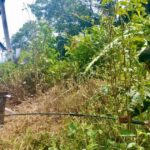 Noticias Antioquia: 22 familias desplazadas en Anorí por el Clan del Golfo