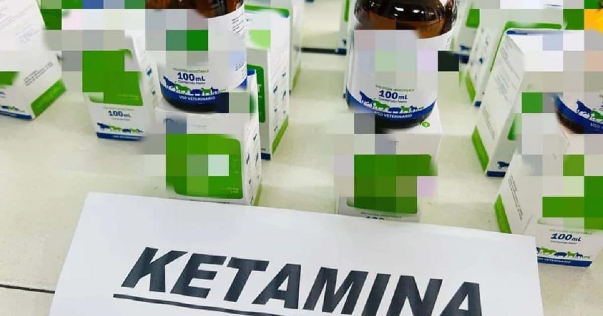 Noticias Medellín: Condenada mujer por tráfico de estupefacientes
