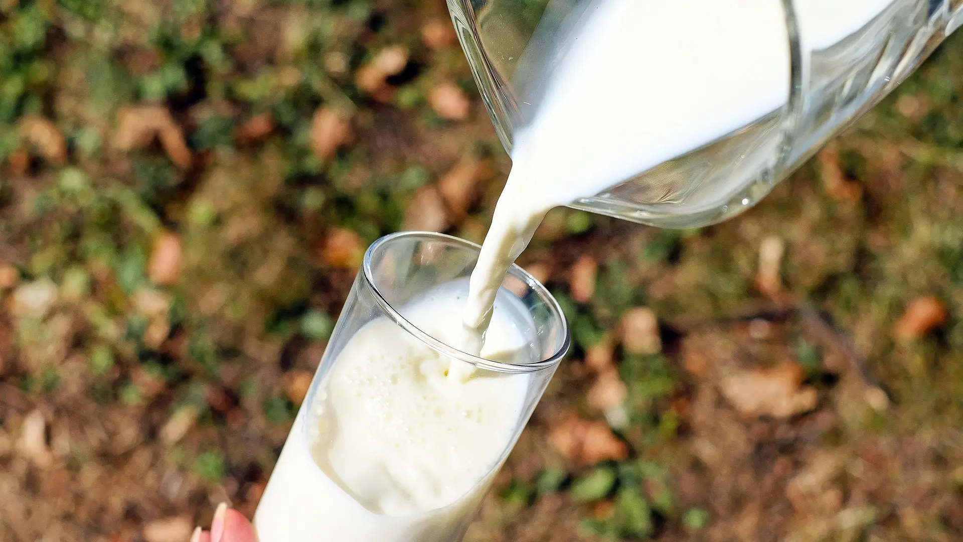 «Hay cosas más importantes que beber leche para cuidar los huesos»