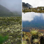 Bogotá brilla con el páramo de Sumapaz: es el más grande del planeta