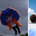 ¿Se le fue la cometa al poste de luz? Enel explica cómo evitar un accidente